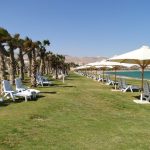 Kawashty,احمد قواشتى,محمد حمدى,mhamdy,Mohamed hamdy,01144454844,Ocean Blue,oceans,اوشنز,01027554608,01144454844,01027554608,تشطيبات,انشاءات هندسية,resort,hotel,ahmed kawashty,kawashty.com, 01000029003,معمارى,انشائى,مبانى,وحدات سكنية,تشطيب فيلات,ocean blue,اوشن بلو,تصميم مواقع,قوشتى,kawashty.com,احمد قوشتى,المهندس احمد قوشتى,eng ahmed kawashty,Grand ocean blue, ocean blue marina-resort, say resort hurghada , ocean marina club house ,sokhna Ladida resort,01000029003,قواشتى للاستشارات الهندسية,قواشتى للإستشارات الهندسية,استشارات هندسية,احمد قوشتى للاستشارات الهندسية,تصميم مواقع انترنت,كراكر,ادوات منزلية,عباس العقاد,crackers,كراكرز,ادوات منزلية وهدايا,real estat,Real Estat,عقارات, Engineering consulting,consultant, Engineering consultant, الاستشارات الهندسية,مكتب استشارى,01000029003,oceanblue,ocean blue,ocean blue Sokhna,oceanbluesokhna,ocean blue resort,oceanblueresort, grand ocean blue,grandoceanblue,grandocean, grand ocean blue hotel, grandoceanbluehotel, ocean blue hotel,mhamdy,Mohamed Hamdy,MohamedHamdy,اوشن,اوشن بلو,جراند اوشن بلو,جراند اوشن,فندق اوشن بلو, منتجع اوشن بلو, tk]r ,lkj[u, العين السخنة,حمامات سباحة,حمام سباحة,الساحل الشمالى,hospitality,resort,lkw,v uhlv,طلعت مصطفى,مدينتى,الرحاب,ملاعب ,5 star,Mohamed kawashty,ahmed kawashty,Mohamed hamdy, 01000029003, 01000029003, 01000029003, 01027554608, 01027554608, 01027554608,01144454844,تصميم مواقع,شبكات انترنت,;hldvhj lvhrfm,كاميرات مراقبة,باتش بانل, Real estate block, piece of ground, Building, Compound, Flat,villa, studio house, Duplex,floor,shop,mall, Apartments,hotel Apartments,residence,استديو,فيلا,شقة,كمباوند,عمارة,ارض,مربع سكنى,بلوك,دوبلكس,محل,مجمع تجارى,شقق فندقية,البيع كاش,البيع نقدا,المطور العقارى,شركة تنمية عقارية,شركات البناء والانشاءات,الوكيل العقارى,broker,سمسار عقارات,تسويق عقارى,استثمار عقارى, شقة بغرفتين, one bedroom apartment, two bedroom apartment, duplex, غرفة الماستر, townhouse, تاون هاوس فيلا, روف, Elevator, residential property, عقار سكني, masterplan, المخطط الرئيسي, real estate development, mortgage, broker,,,,,,,,,,,,,,,,